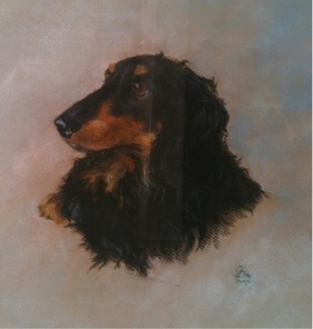 Pastel portrait of a  black & tan Dachshund 'Bertie' by Gloria Dean